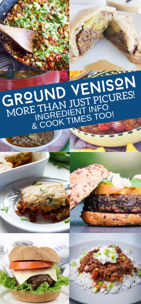 Collage of several ground venison recipes.