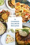Collage of several canned salmon recipes