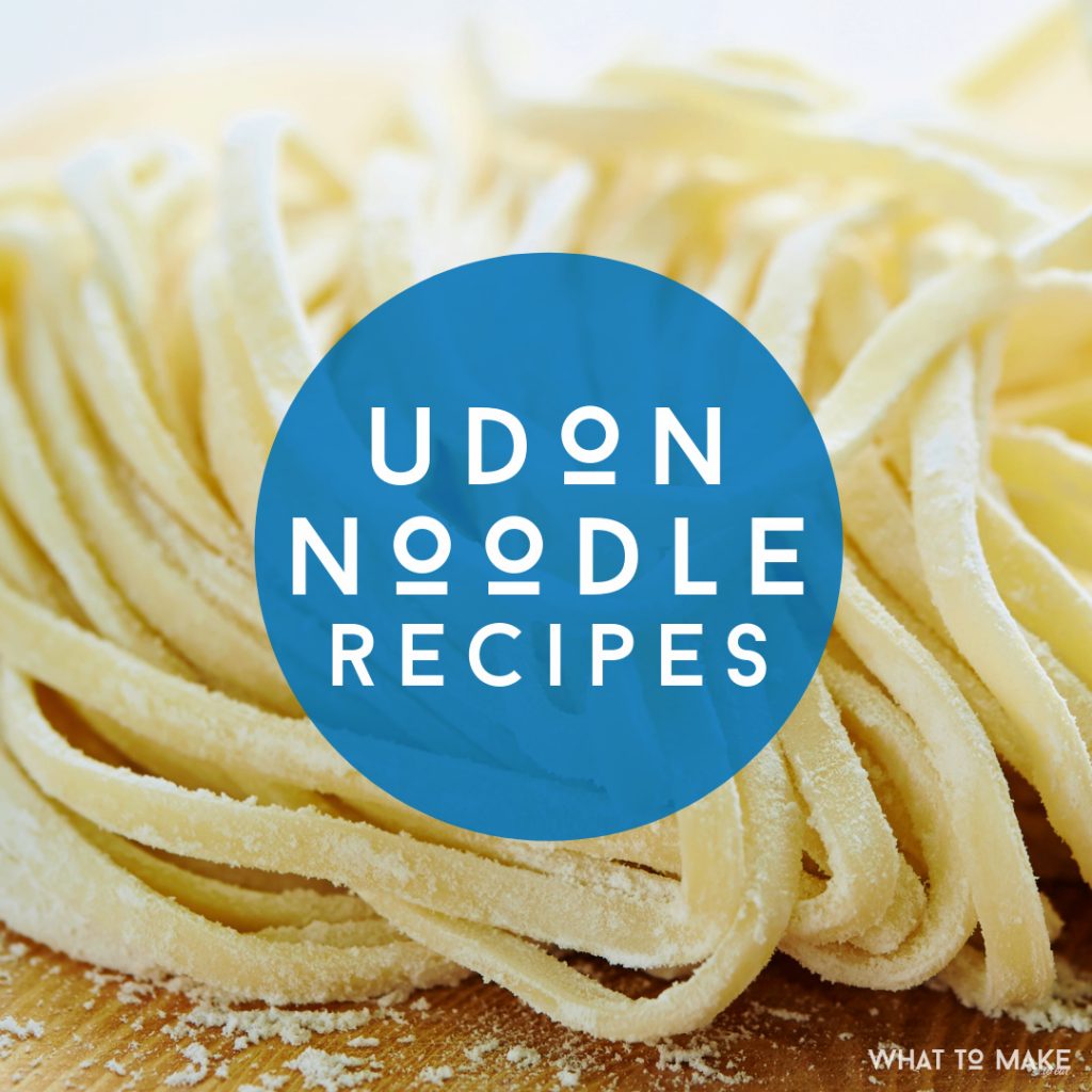 Image of uncooked udon noodles. Text reads "Udon Noodle Recipes"