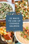Dishes made with leftover salmon. Text reads "22 ways to use up cooked salmon"
