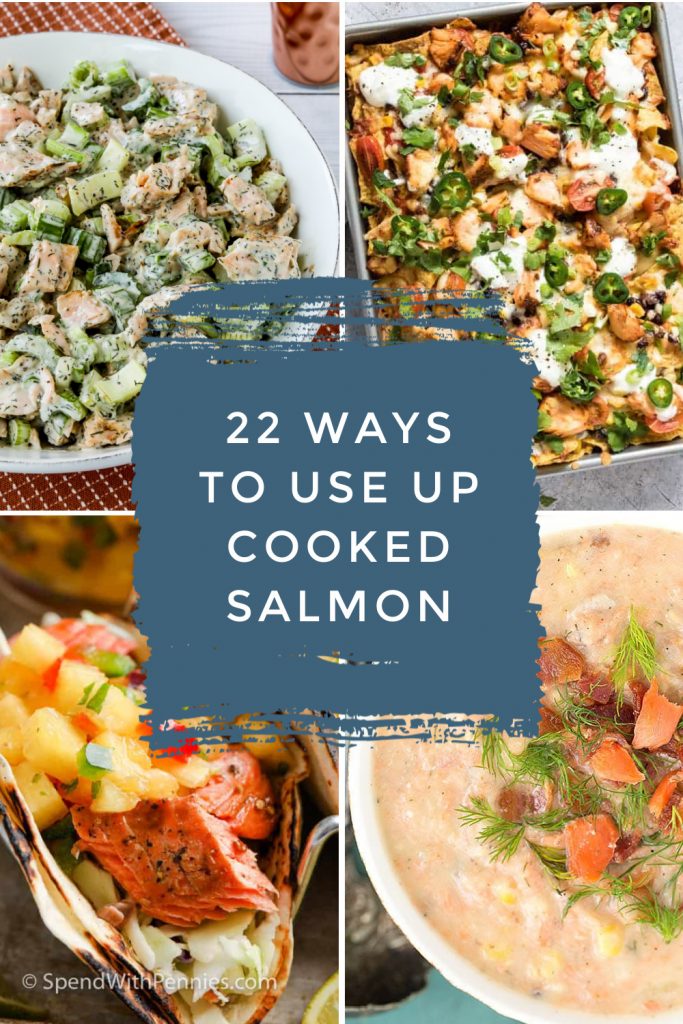 Dishes made with leftover salmon. Text reads "22 ways to use up cooked salmon"