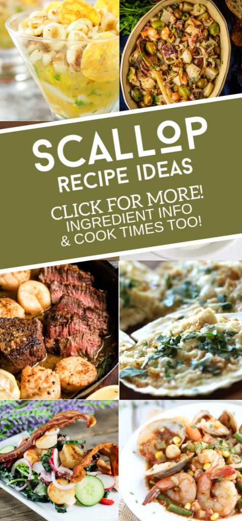 Dishes made with scallops. Text reads "Scallop Recipe Ideas"