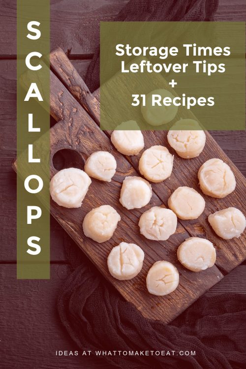 What to make with scallops 31 delicious recipes plus useful storage tips