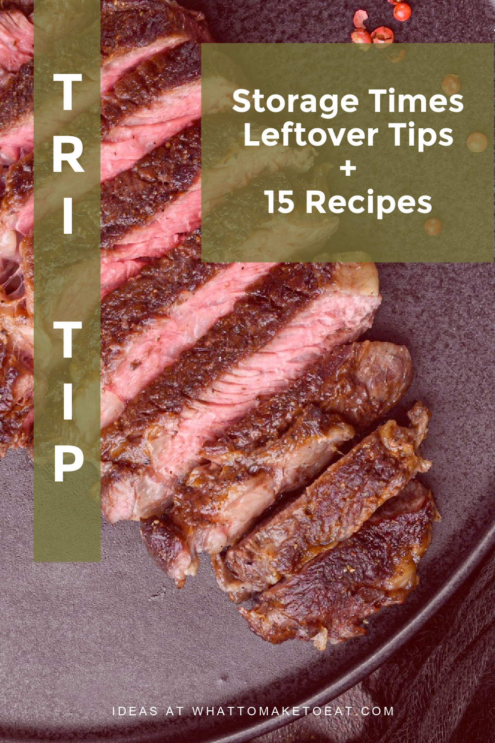 15 Best Leftover TriTip Recipes plus useful storage information