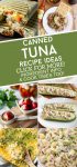 Dishes made with canned tuna. Text reads "Canned tuna recipe ideas"