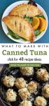Dishes made with canned tuna. Text reads "What to make with canned tuna'