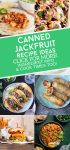 Dishes made with canned jackfruit. Text reads "Canned jackfruit recipe ideas"